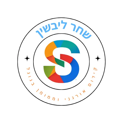 website logo
