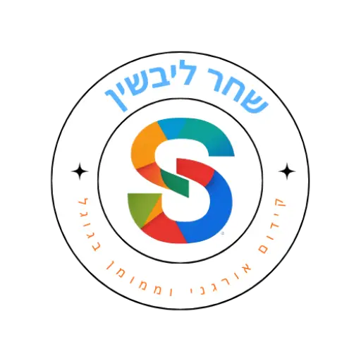 website logo